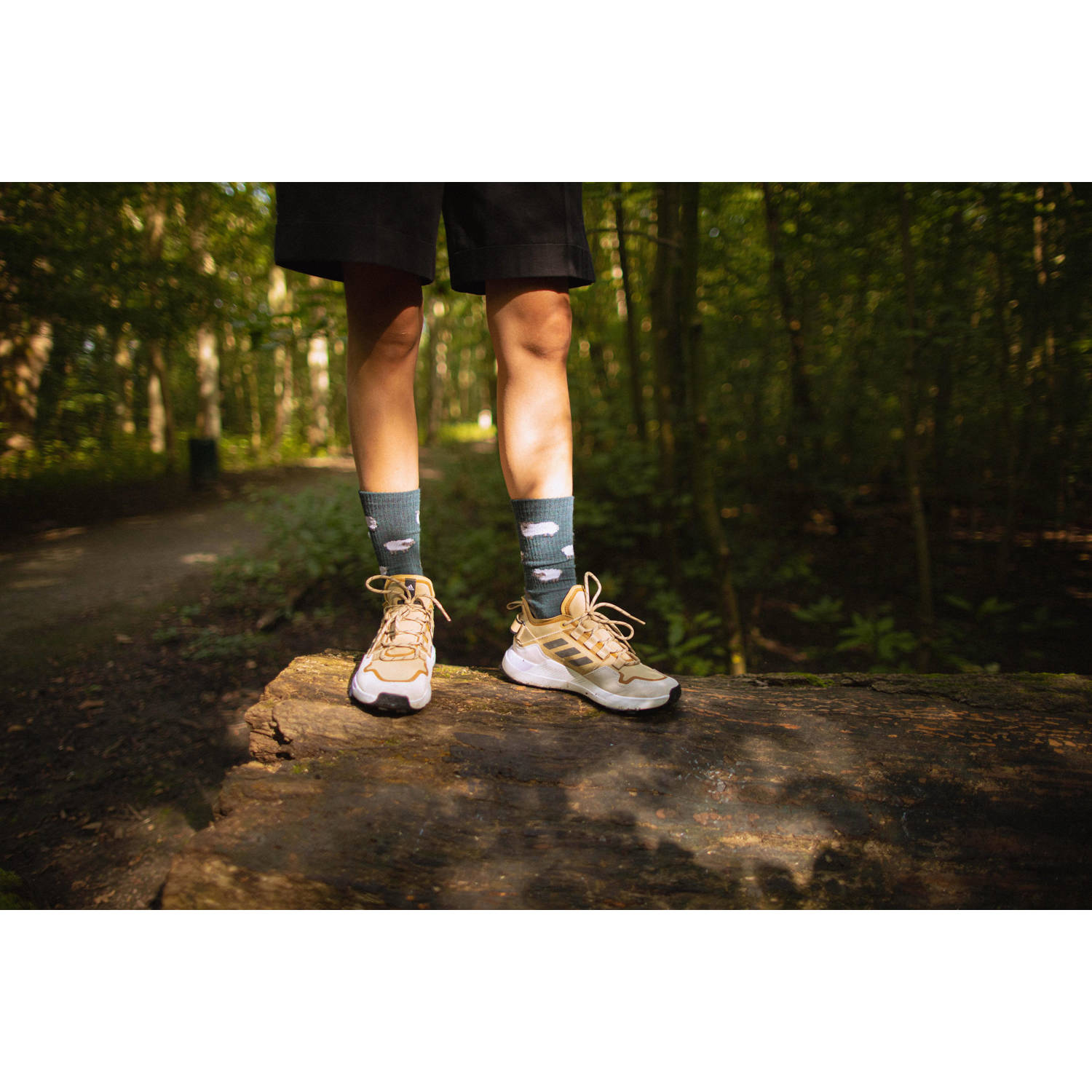 Alfredo Gonzales wandelsokken blauw grijs