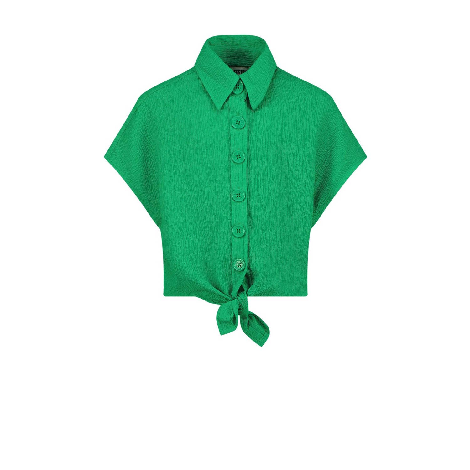 Raizzed blouse Telsa felgroen Meisjes Polyester Klassieke kraag Effen 152
