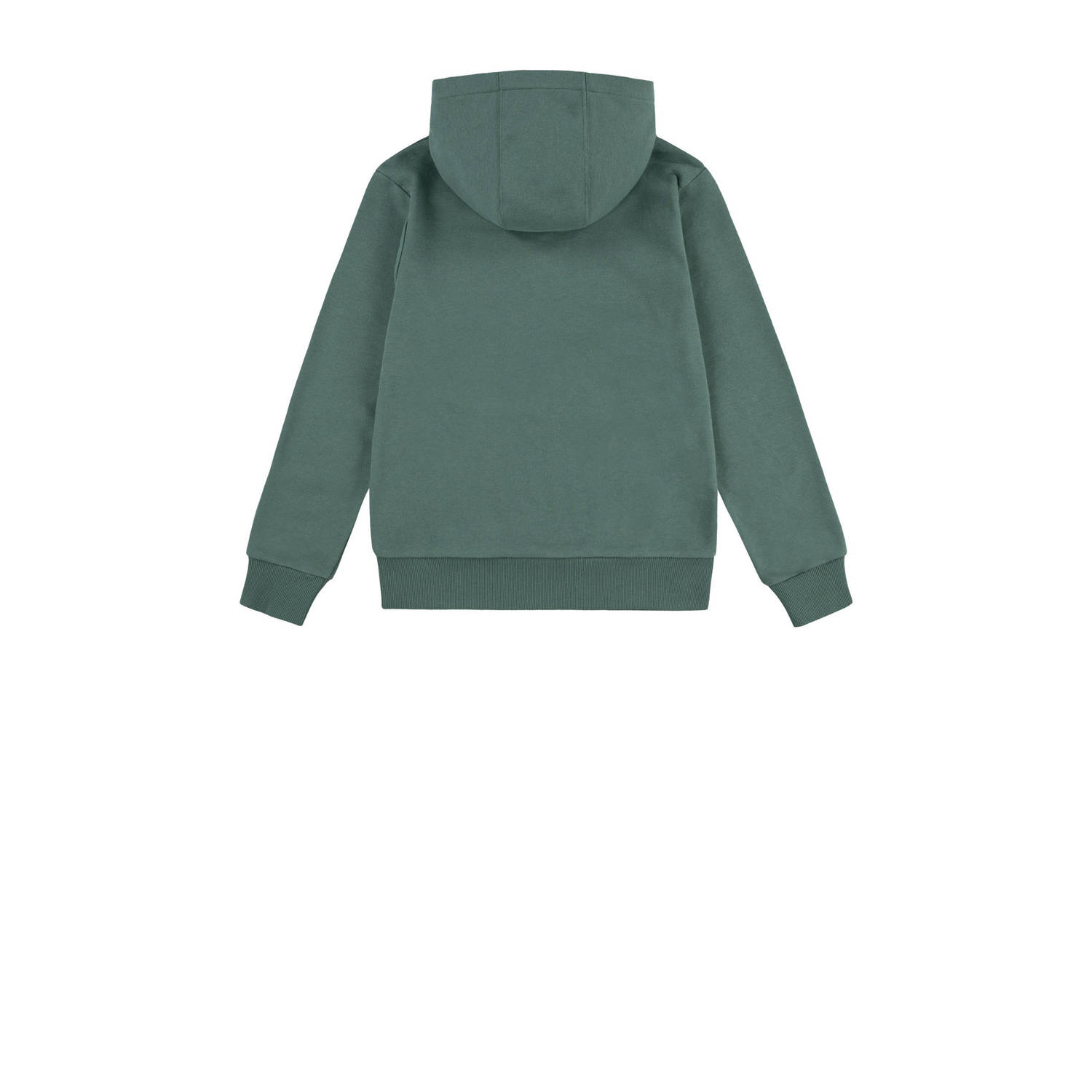 Levi's Kids hoodie BATWING met logo donkergroen