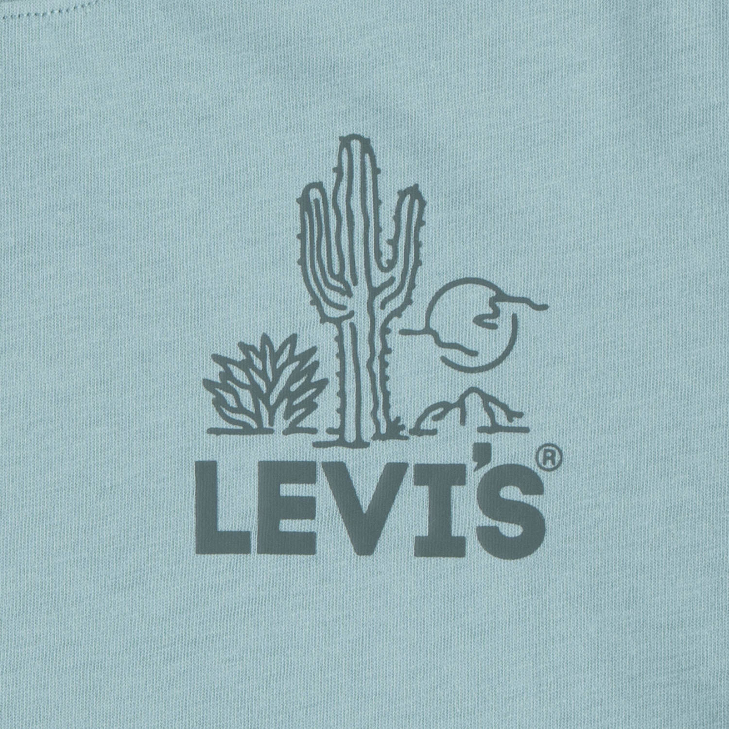 Levi's Kids T-shirt met backprint blauwgroen