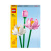 Lotusbloemen 40647