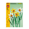 Narcissen 40747
