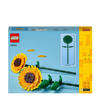 Zonnebloemen 40524