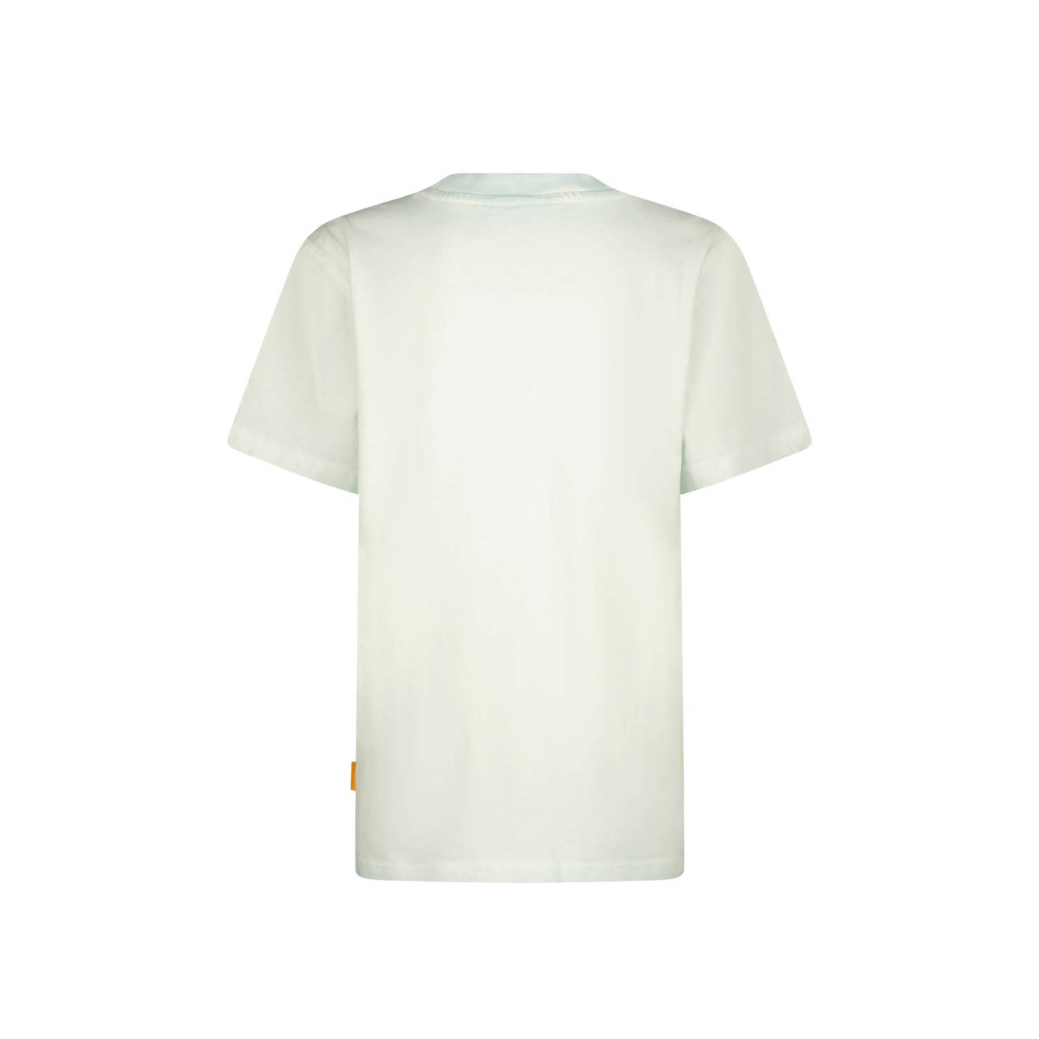 Vingino T-shirt Habieb met printopdruk lichtblauw