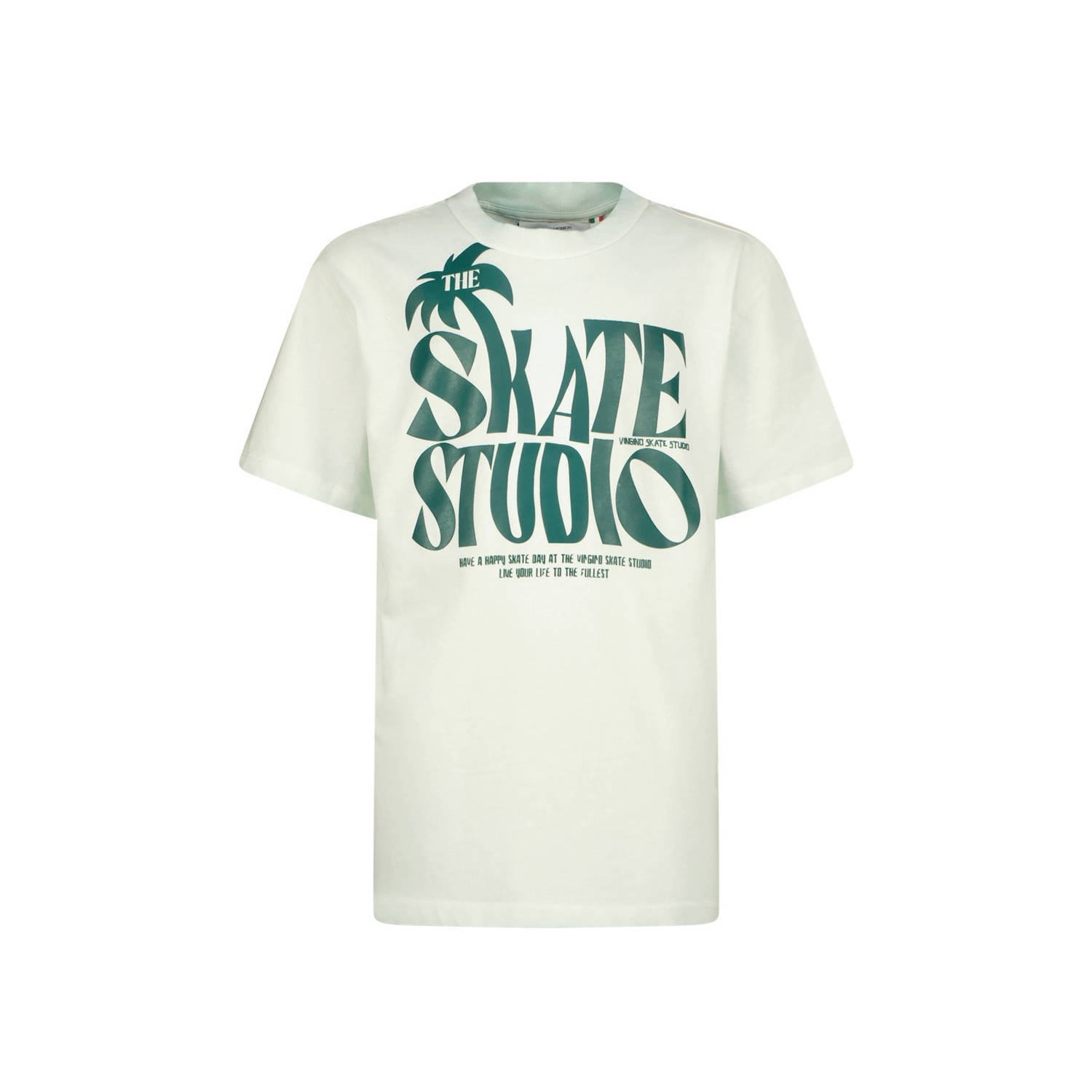 VINGINO T-shirt Habieb met printopdruk lichtblauw Jongens Katoen Ronde hals 128