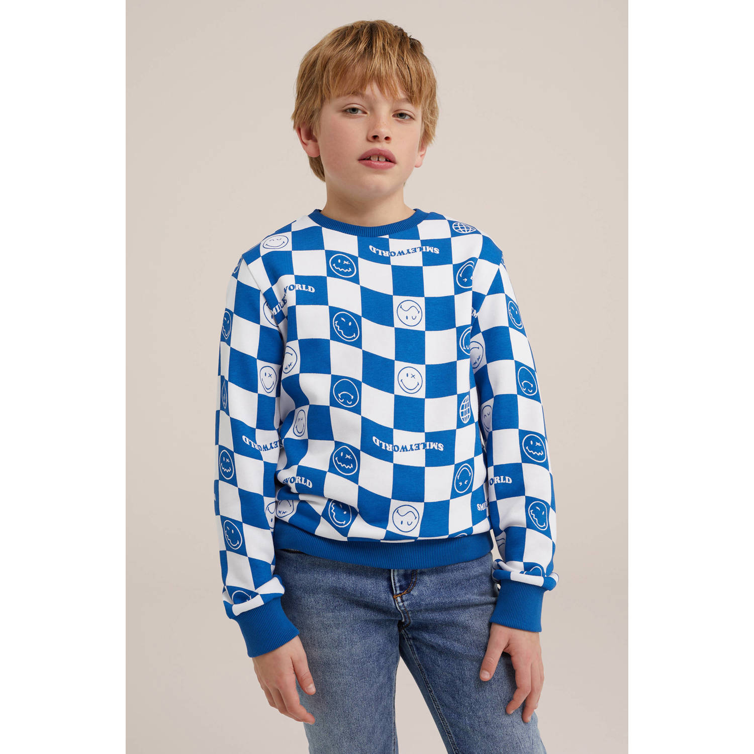 WE Fashion geruite sweater blauw wit