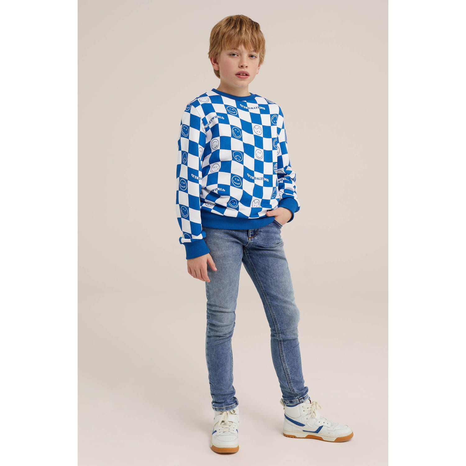 WE Fashion geruite sweater blauw wit