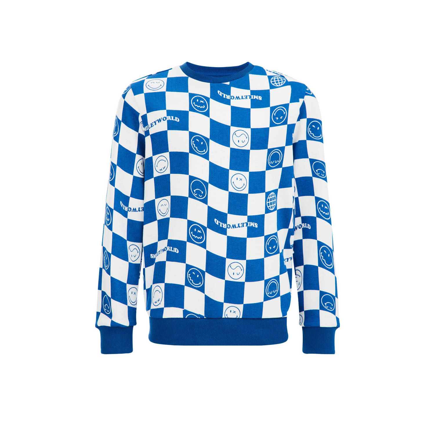 WE Fashion geruite sweater blauw wit