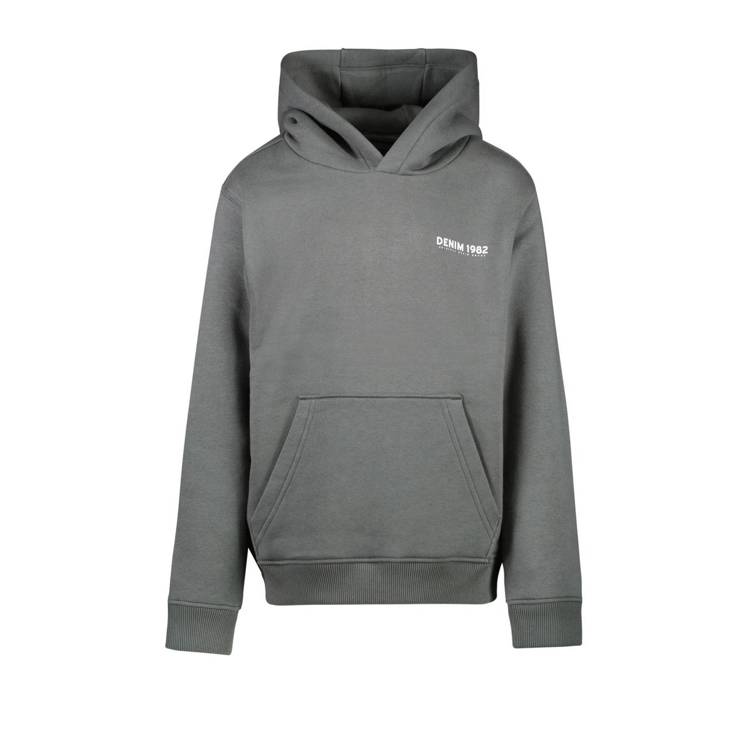 Cars hoodie DETANO met backprint grijs Sweater Backprint 152