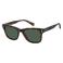 Polaroid zonnebril 6206/S met tortoise print bruin