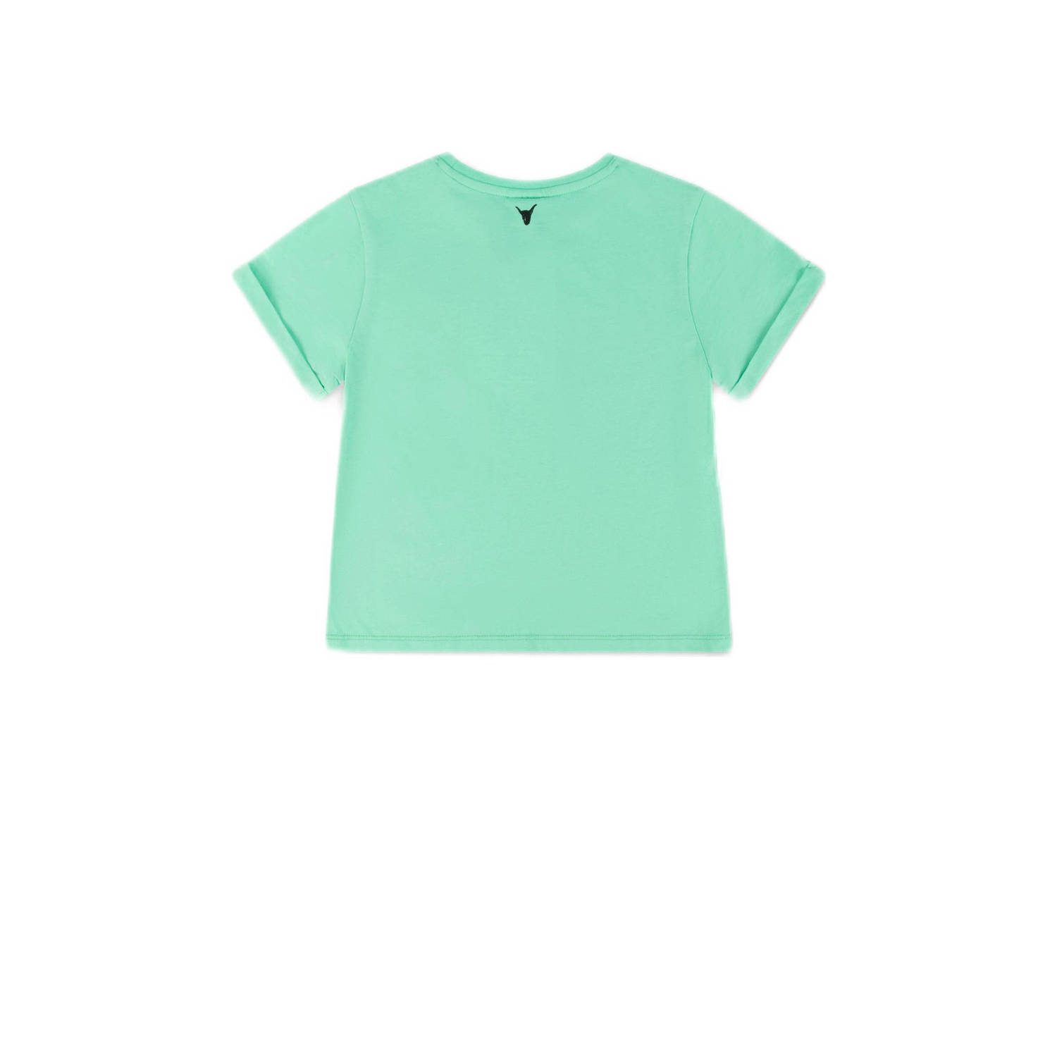 Alix the Label Alix Mini T-shirt met printopdruk mintgroen