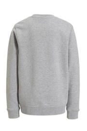 thumbnail: Grijze jongens Lyle & Scott gemêleerde trui van sweat materiaal met lange mouwen en ronde hals