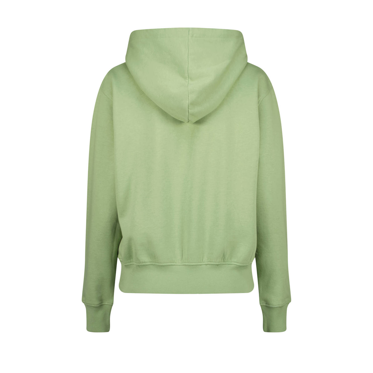 Raizzed hoodie Nadine groen