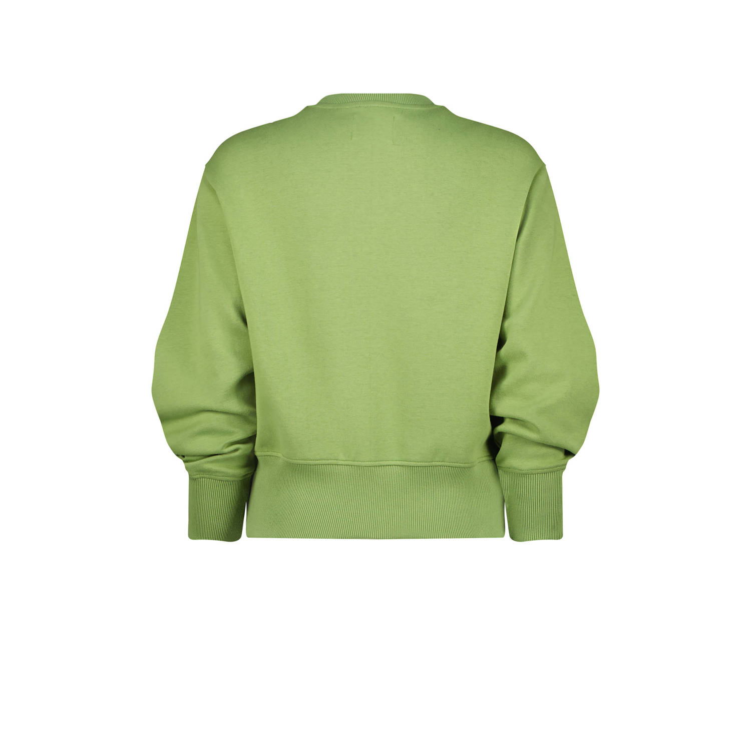 Raizzed sweater groen