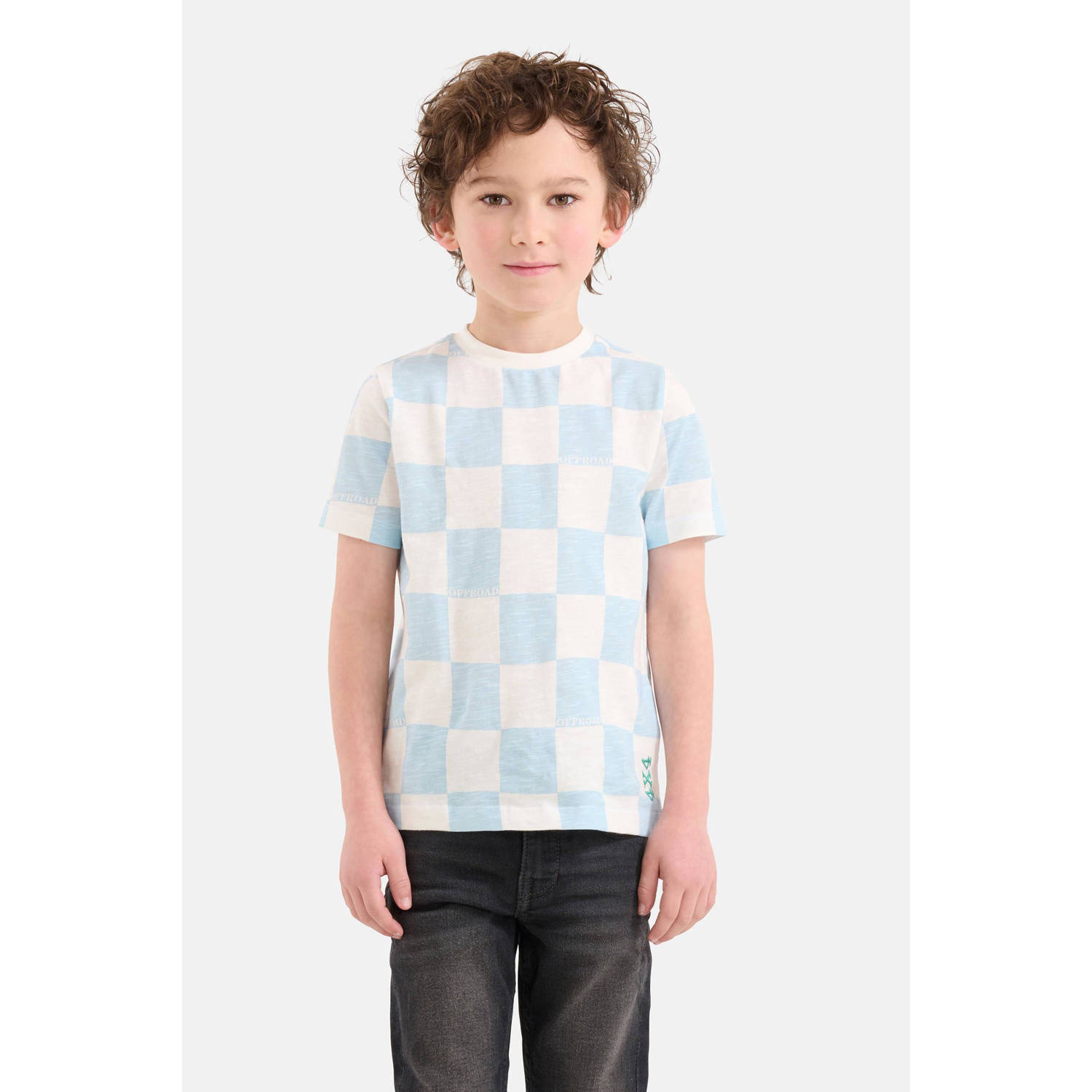 Shoeby geruit T-shirt lichtblauw wit