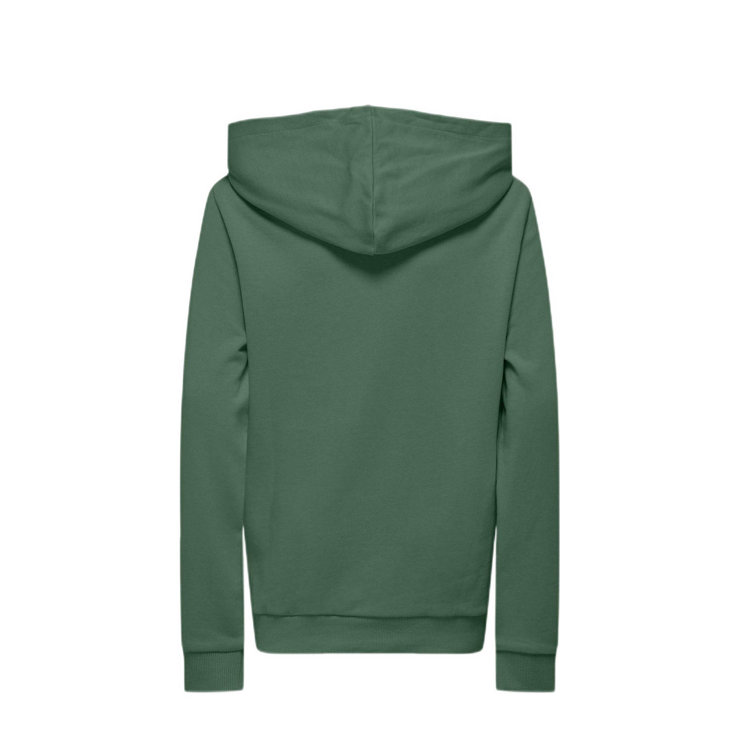 ONLY KIDS BOY hoodie KOBLASSI groen