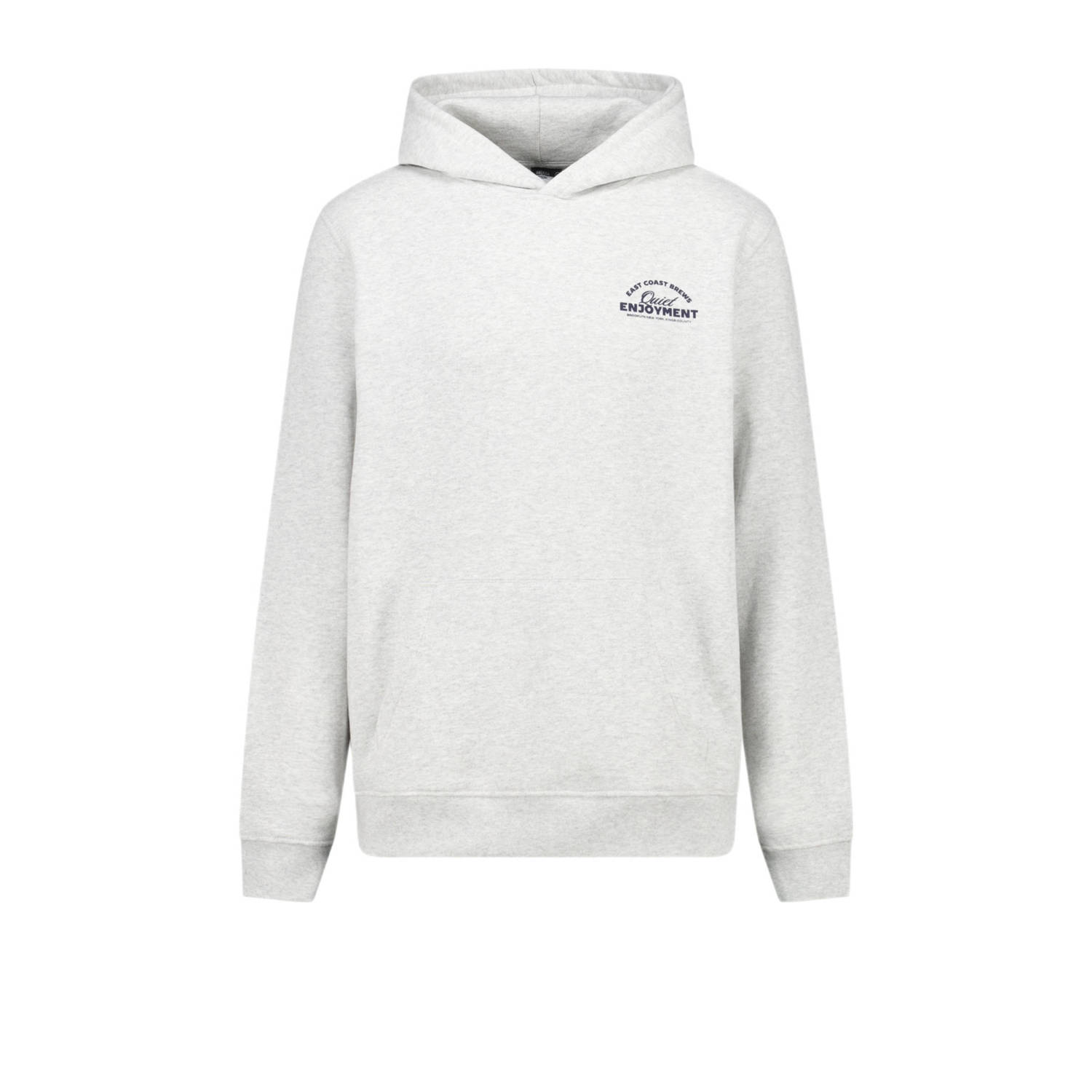 America Today hoodie Soren met backprint light grey melange