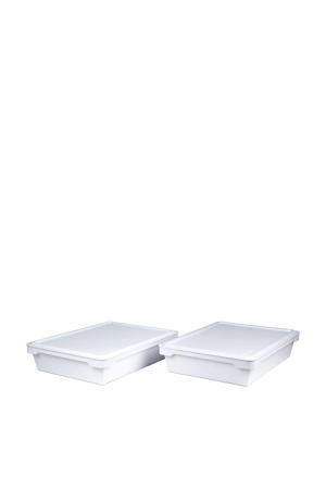  pizzadeeg kratten set 2 stuks