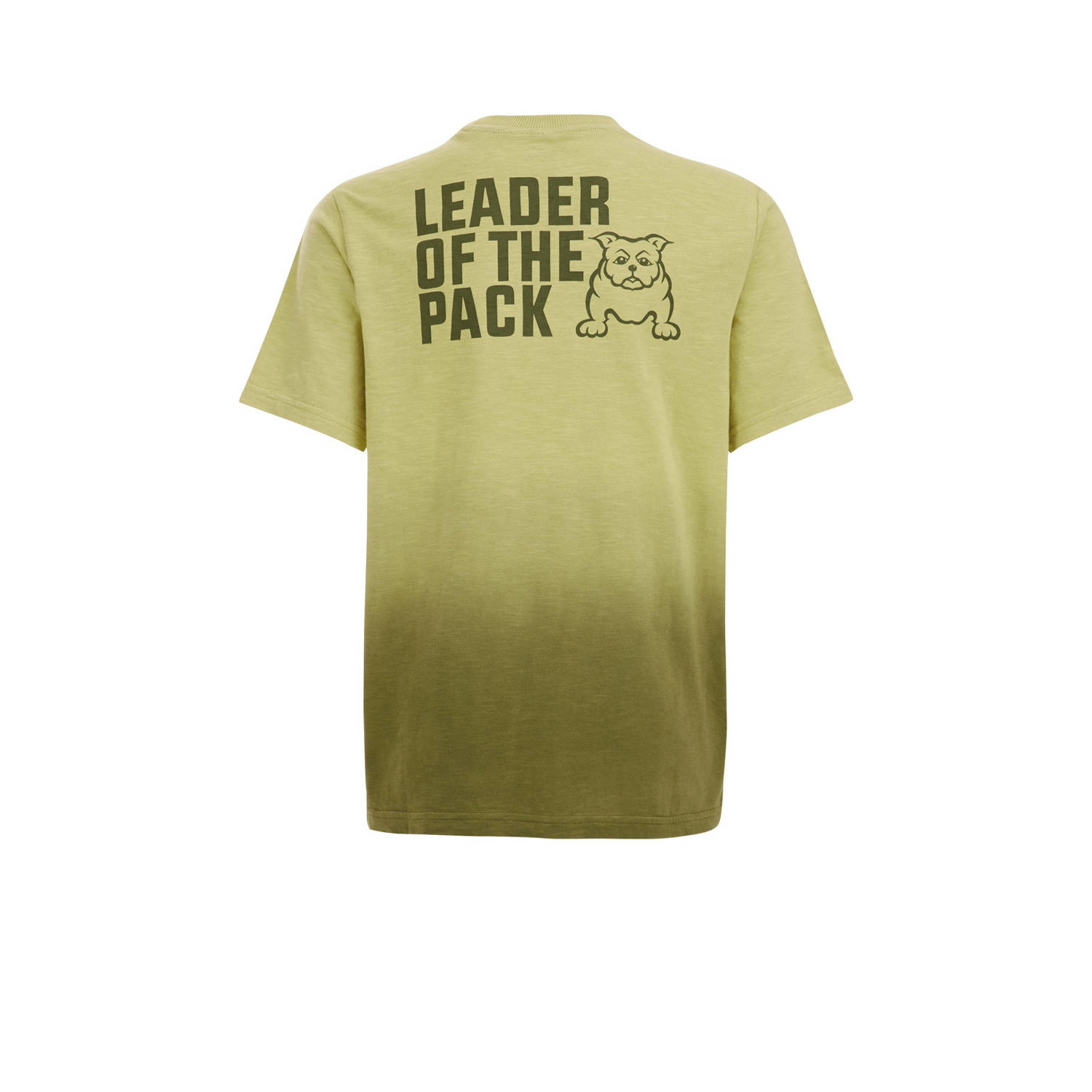 Salty Dog T-shirt met backprint groen