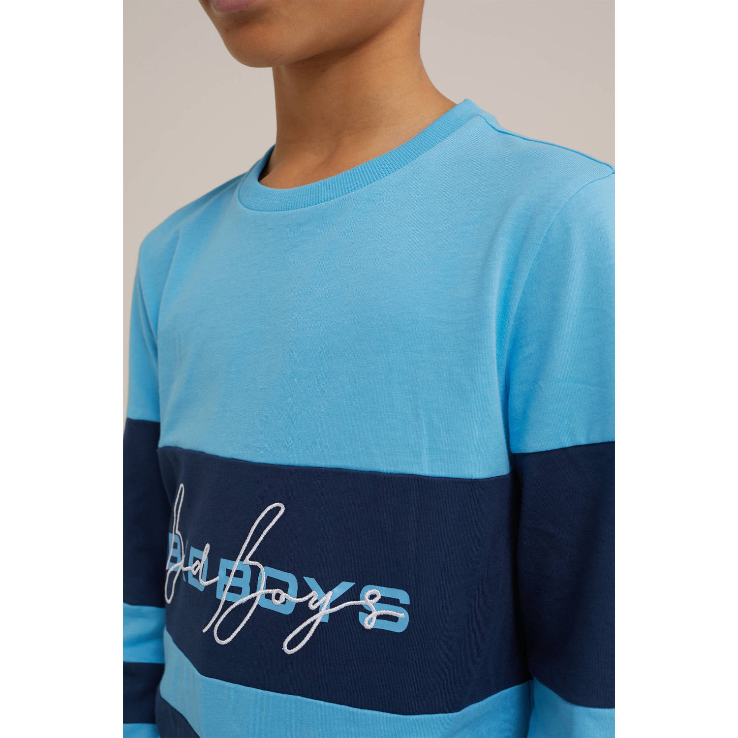 WE Fashion gestreepte sweater blauw