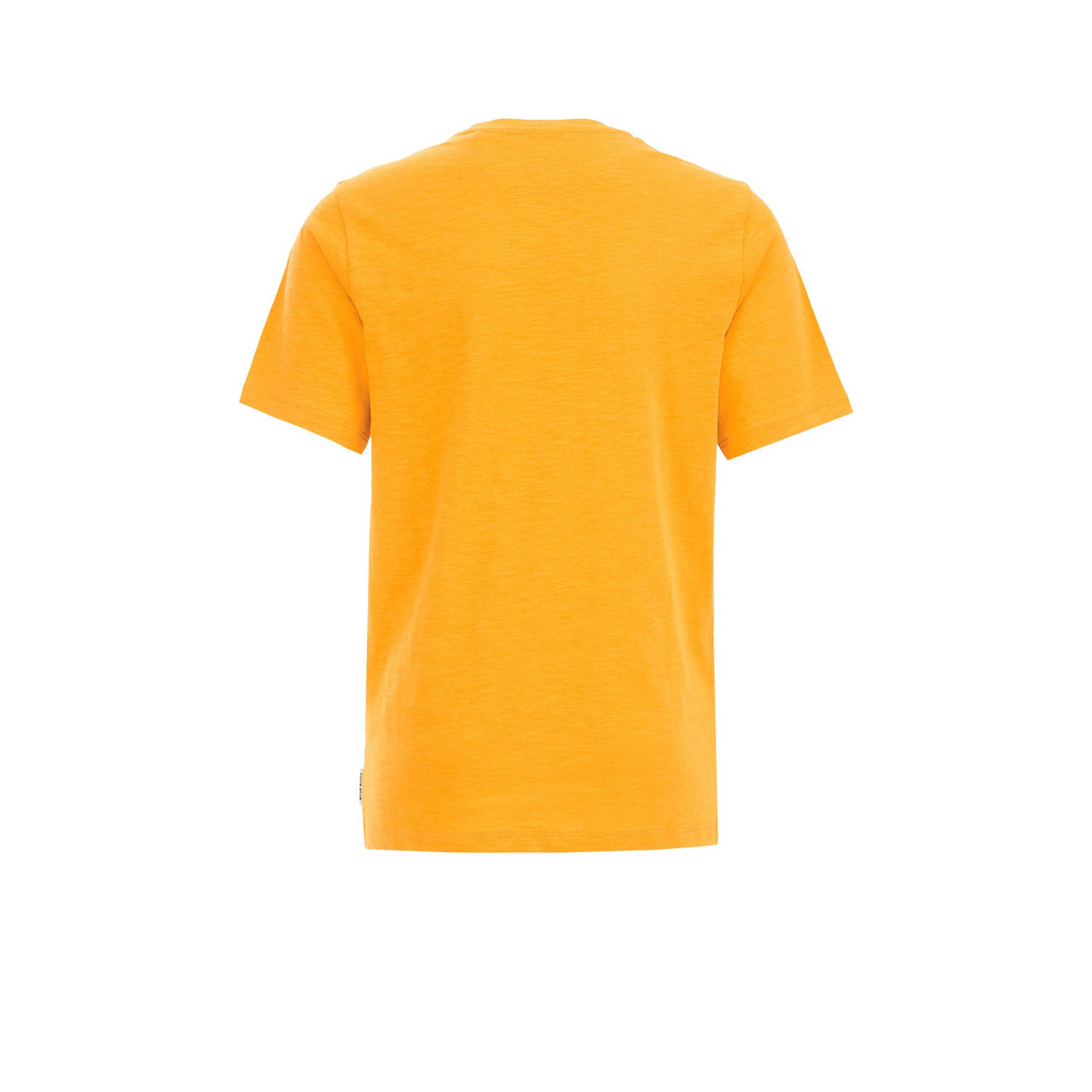 WE Fashion Blue Ridge T-shirt geeloranje