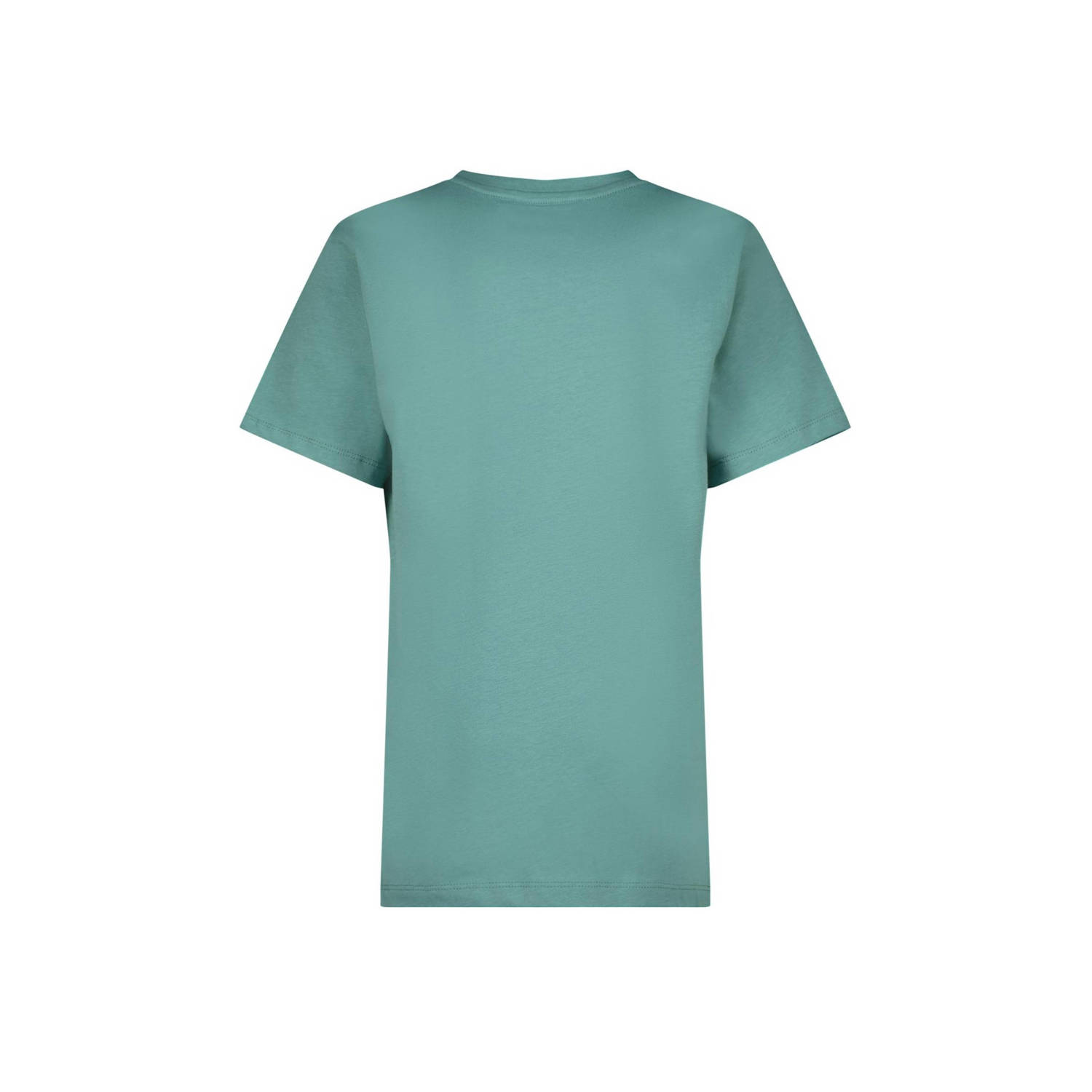 Raizzed T-shirt Hamilton met logo zacht zeegroen