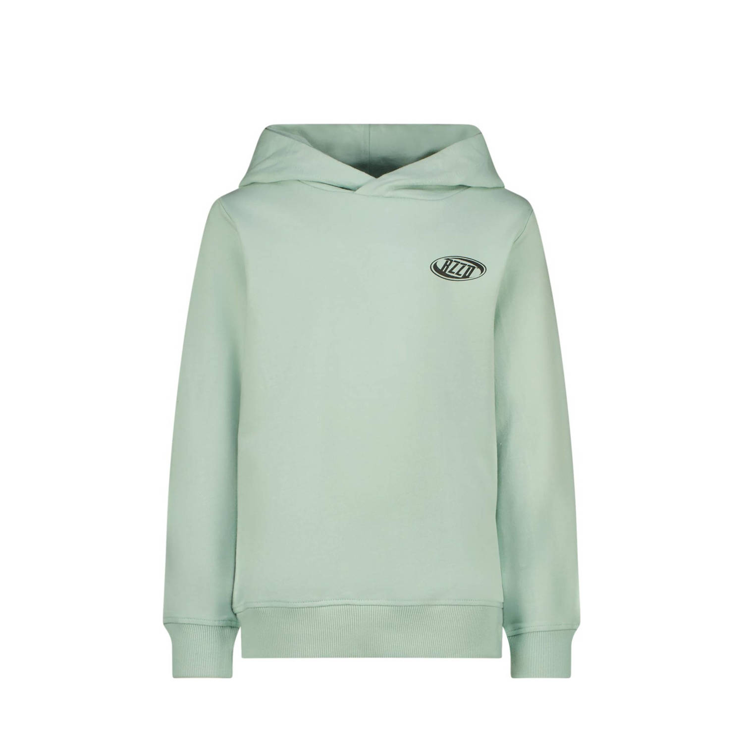 Raizzed hoodie Nezar met backprint zacht pistachegroen Sweater Backprint 128