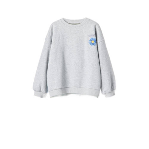 Desigual sweater met backprint lichtgrijs/blauw
