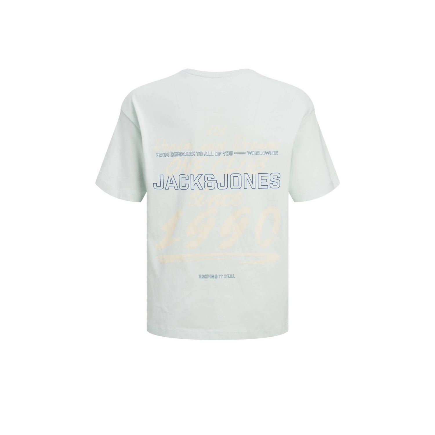 JACK & JONES JUNIOR T-shirt JJDDREAM met backprint pastelblauw