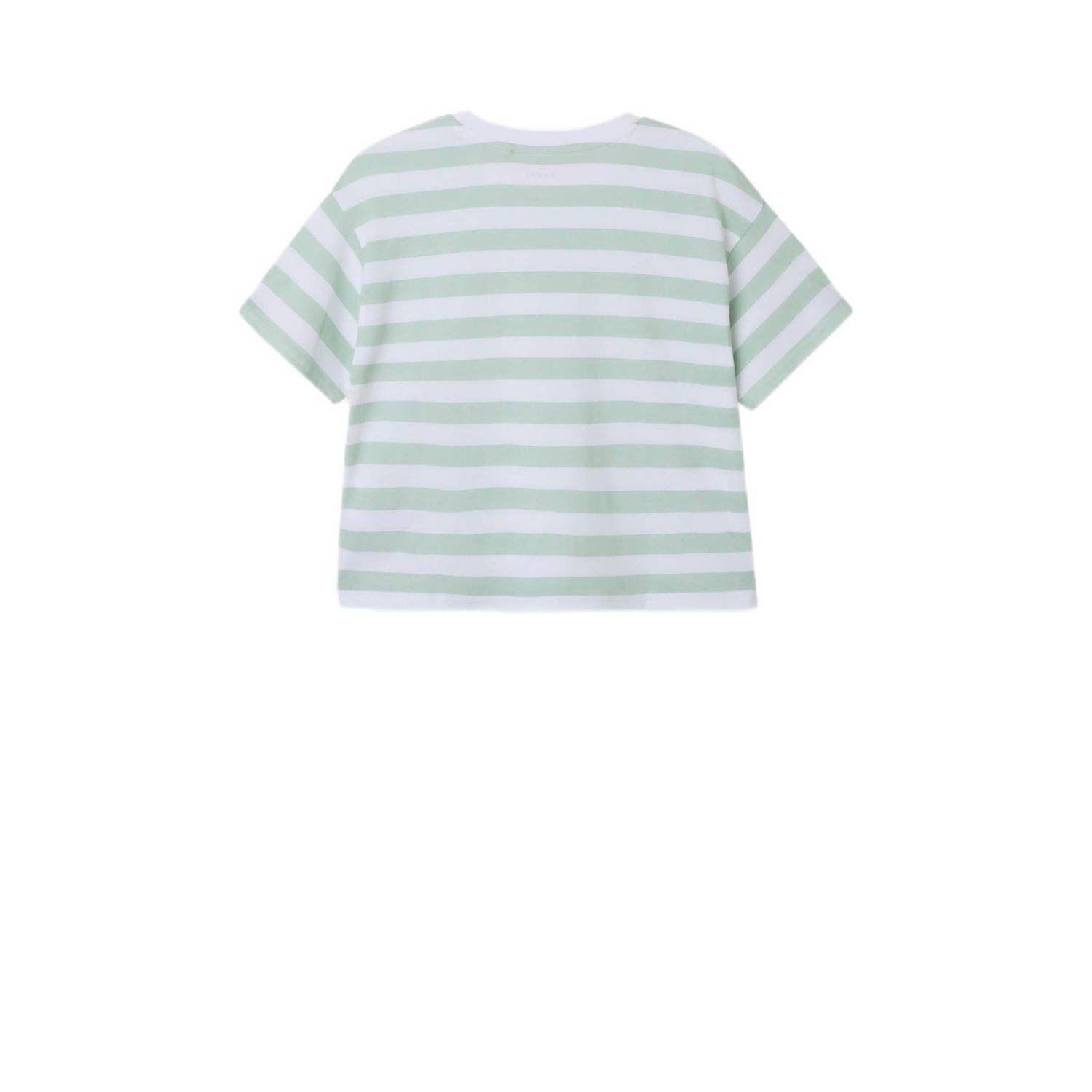 NAME IT KIDS gestreept T-shirt NKFVITANNI zachtgroen wit