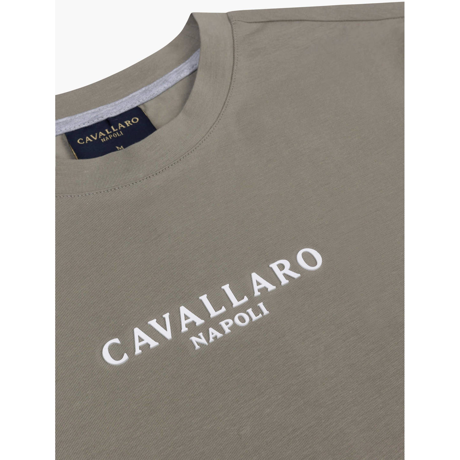 Cavallaro Napoli regular fit T-shirt Bari met logo light green