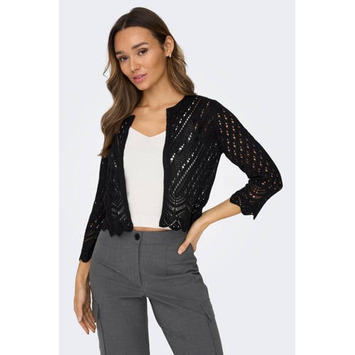 JDY vest SUN zwart afbeelding