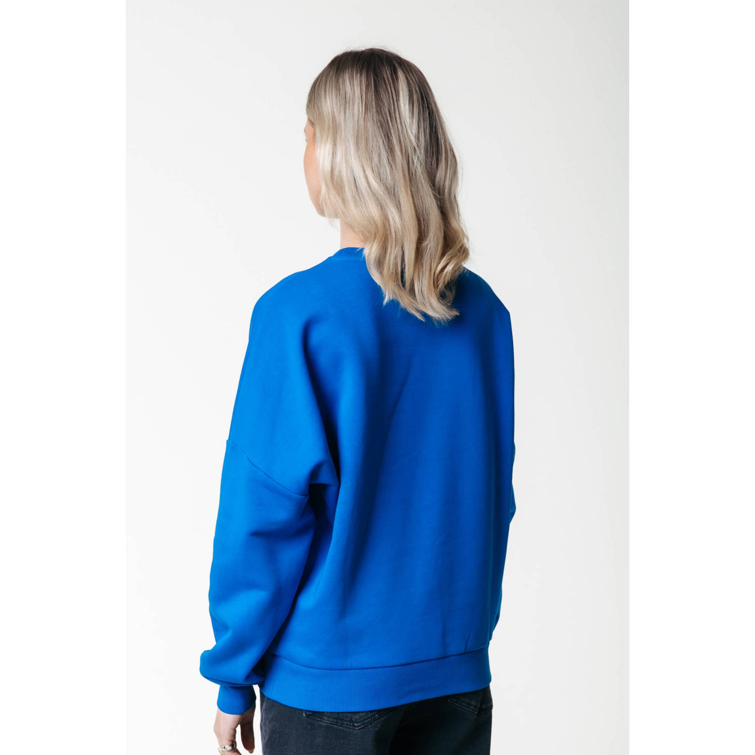 Colourful Rebel sweater Logo Wave met printopdruk blauw