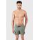 Brunotti zwemshort Iconic grijsgroen