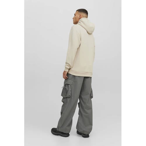 JACK & JONES ESSENTIALS hoodie JJEBRADLEY moonbeam afbeelding