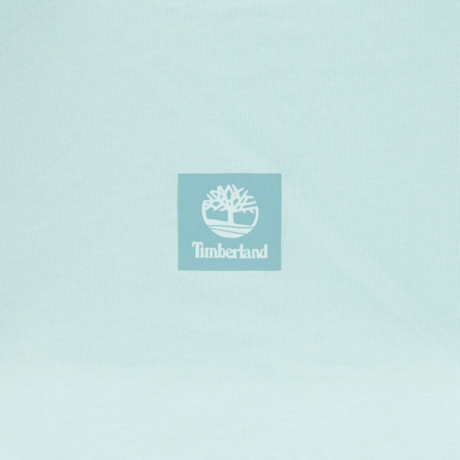 Timberland T-shirt met logo mintgroen