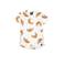 Babystyling baby T-shirt met all over print wit/bruin