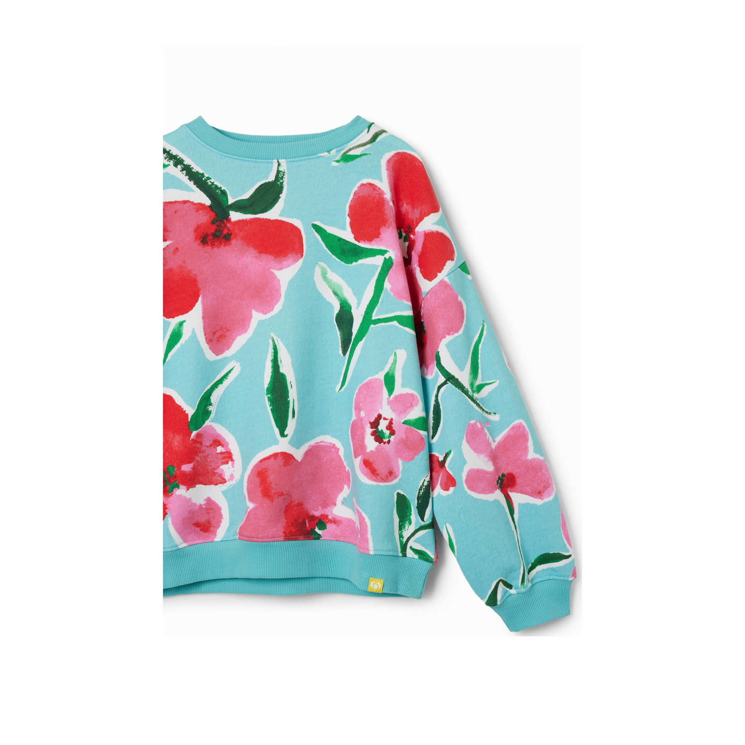 Desigual gebloemde sweater blauw rood wit