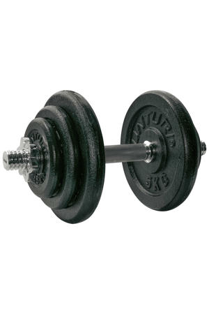  dumbbellset gietijzer max. 20 kg