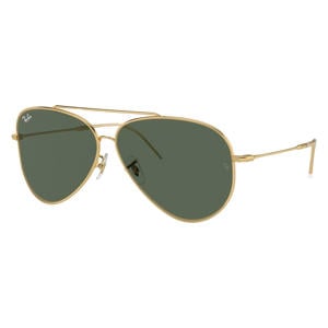 zonnebril 0RBR0101S goudkleurig