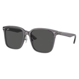 zonnebril 0RB2206D grijs