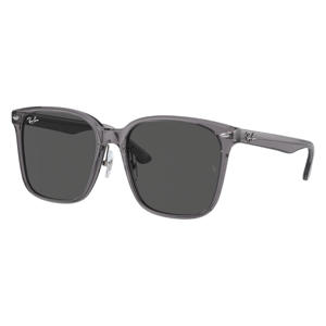 zonnebril 0RB2206D grijs