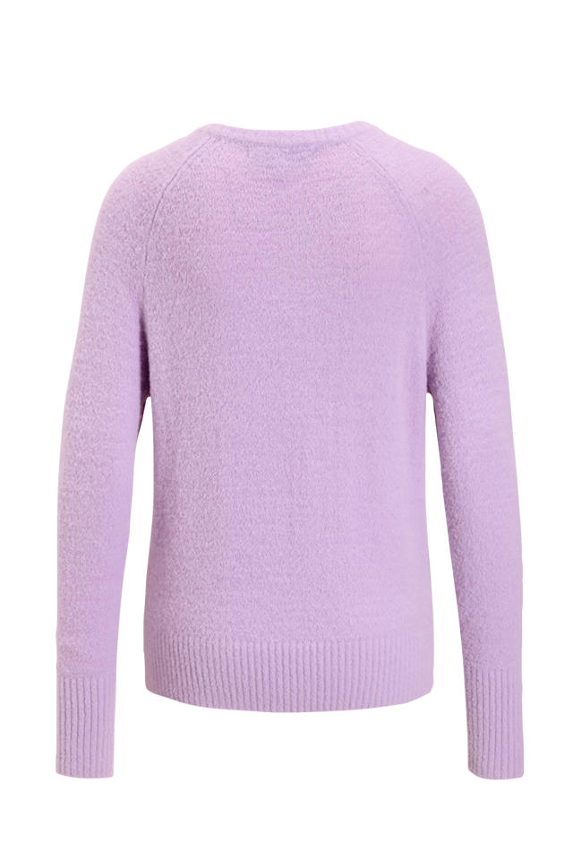 WE Fashion trui lichtblauw fijn gebreid
