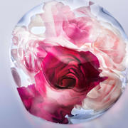 thumbnail: Lancôme La Vie Est Belle Rose Extraordinaire eau de parfum - 30 ml