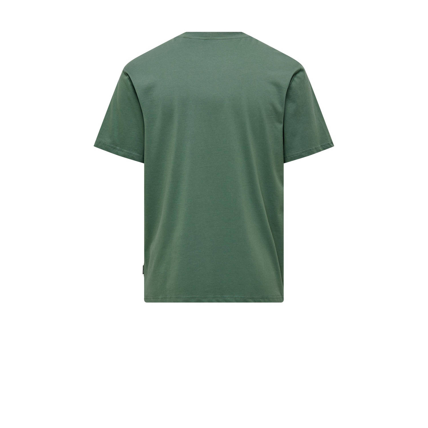 ONLY & SONS regular fit T-shirt ONSLEVI met logo groen
