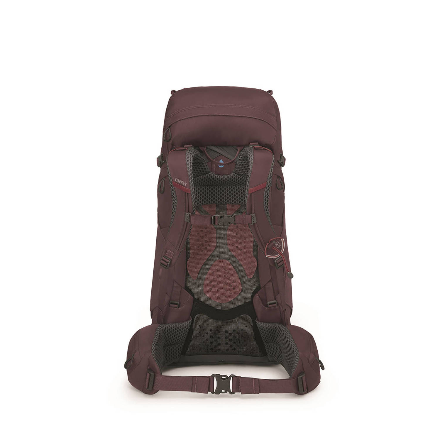 Osprey backpack Kyte 48L WM L bordeauxrood