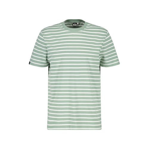 America Today regular gestreepte T-shirt groen afbeelding