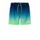 NAME IT KIDS zwemshort NKMZOCCAS blauw/neongroen