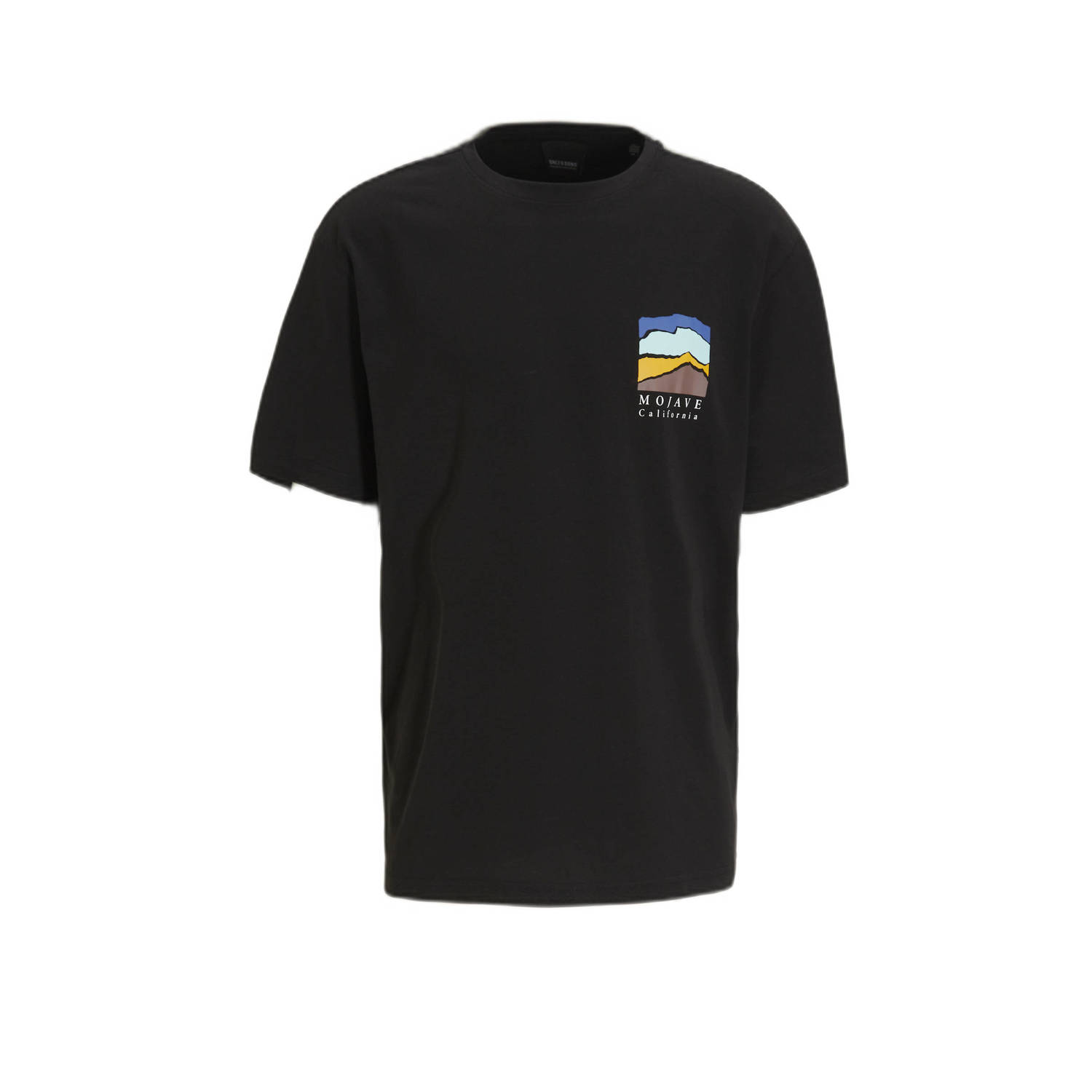 ONLY & SONS regular fit T-shirt ONSKEANE RLX met backprint zwart