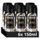 Axe Fine Fragrance Collection Black Vanilla premium deodorant bodyspray - 6 x 150 ml